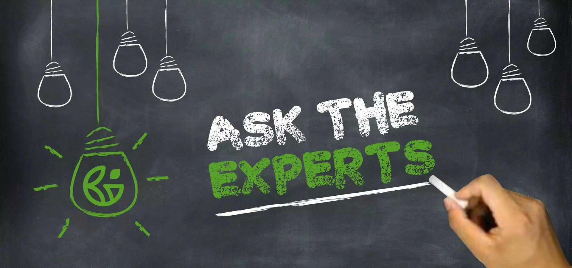 Ask the Expert Out